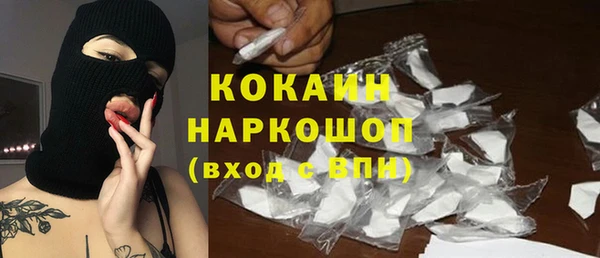 хмурый Алзамай