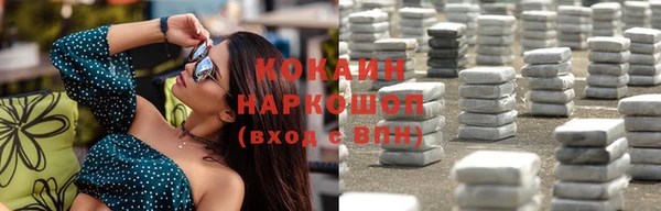 хмурый Алзамай
