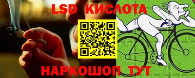стафф Пенза