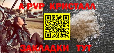стафф Пенза