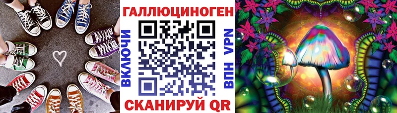Псилоцибиновые грибы прущие грибы  ссылка на мегу ссылка  Волхов 