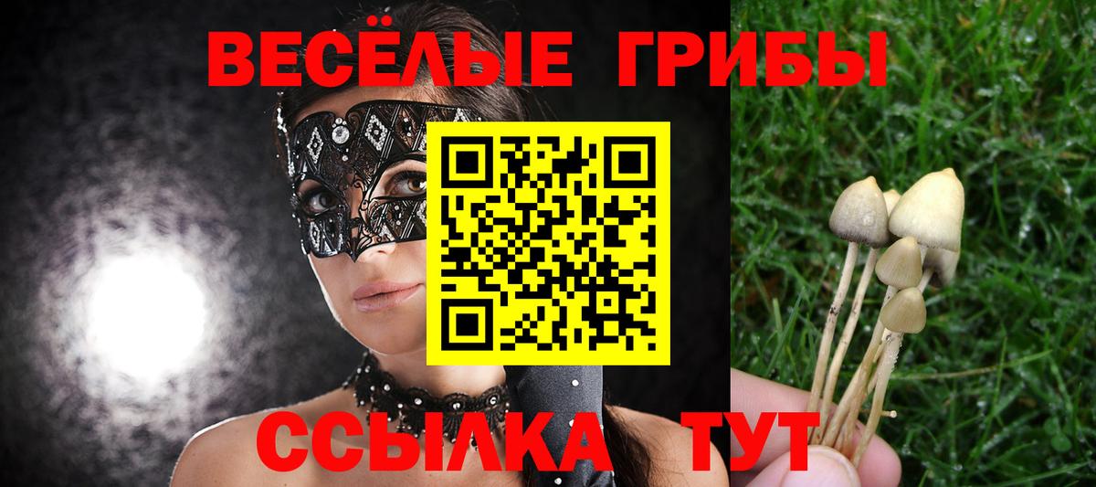 Псилоцибиновые грибы Magic Shrooms  Вход с VPN  Волхов 