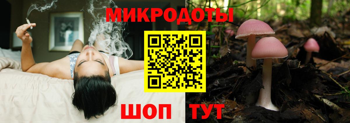 Псилоцибиновые грибы прущие грибы Волхов